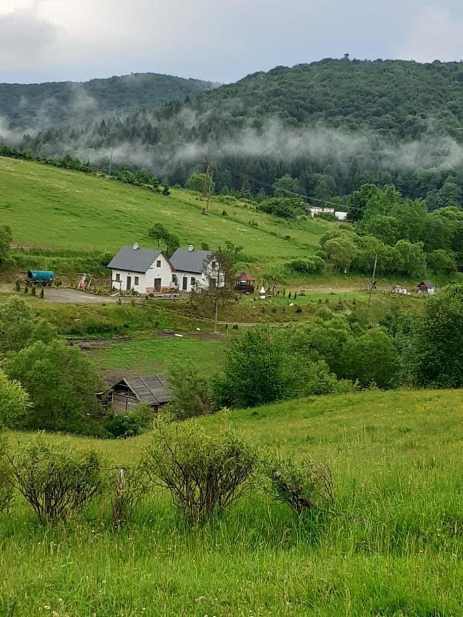Domki W Bieszczadzkiej Dolinie Ustrzyki Dolne Dış mekan fotoğraf